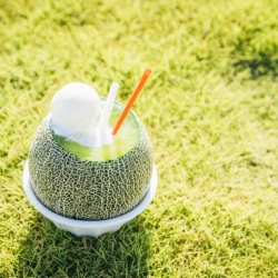 メロンまるごとクリームソーダ