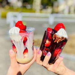 とろける苺ショコラ