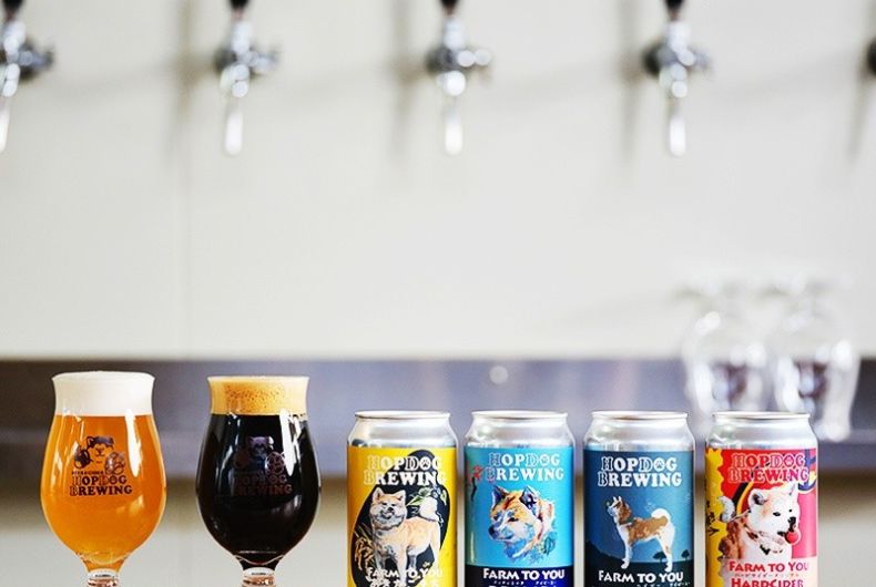HOPDOG BREWING