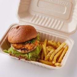 PENTHOUSE チキンバーガーBOX