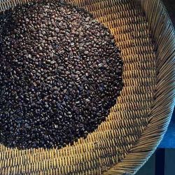 熟成珈琲