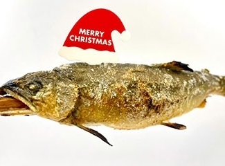 シュテッケルフィッシュ