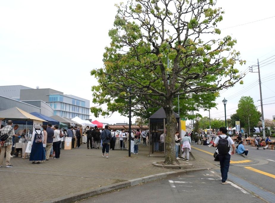 多彩なフード出店も魅力のひとつ。結いのおとで味の世界旅へ。