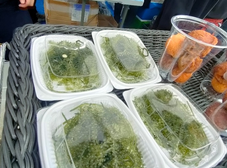 海ぶどう