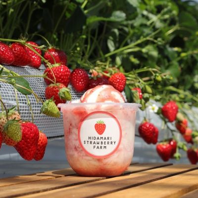 HIDAMARI STRAWBERRY FARM