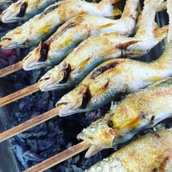 鮎の塩焼き