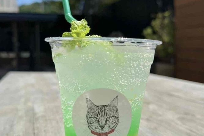 品川肉匠 赤ねこ屋