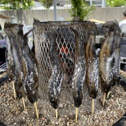 岩魚の塩焼き