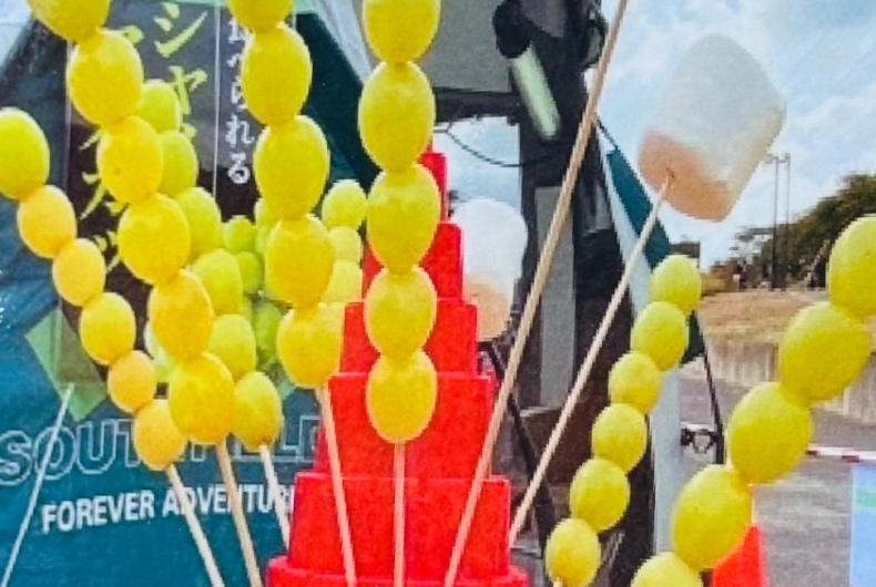 乍旨司