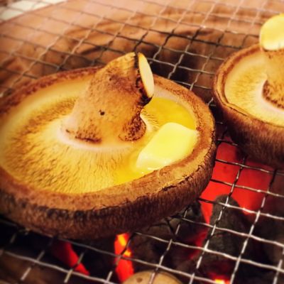 想いの茸 -OMOINOTAKE-
