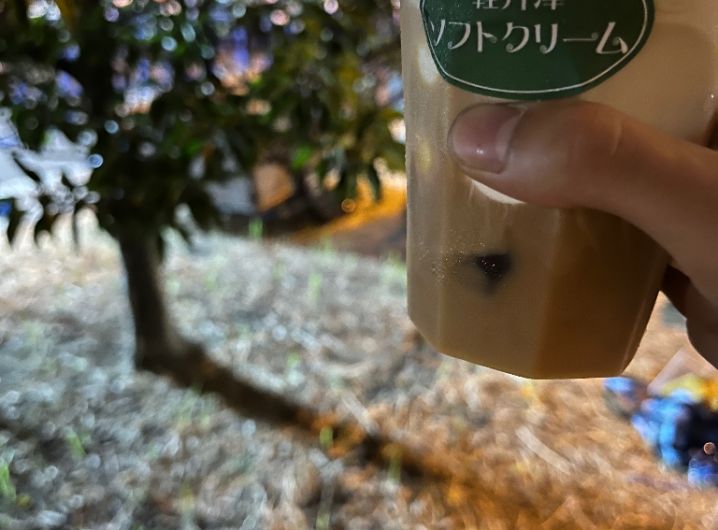 軽井澤ソフトクリーム