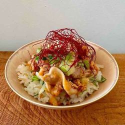 たけし豚　豚丼